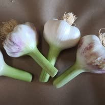 Photo de la ferme