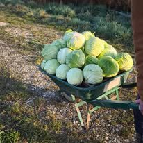 Photo de la ferme