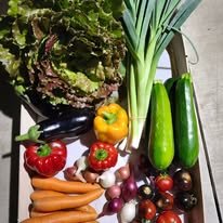 Légumes de la ferme