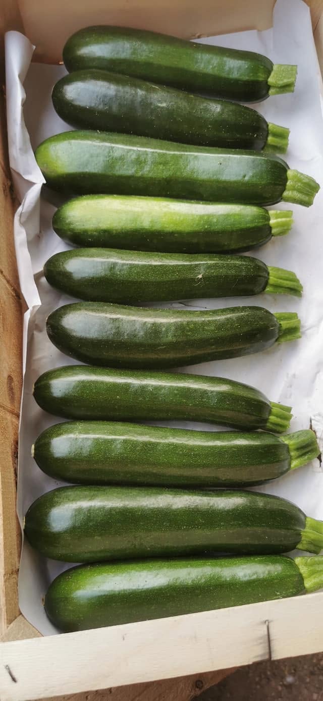 Courgettes