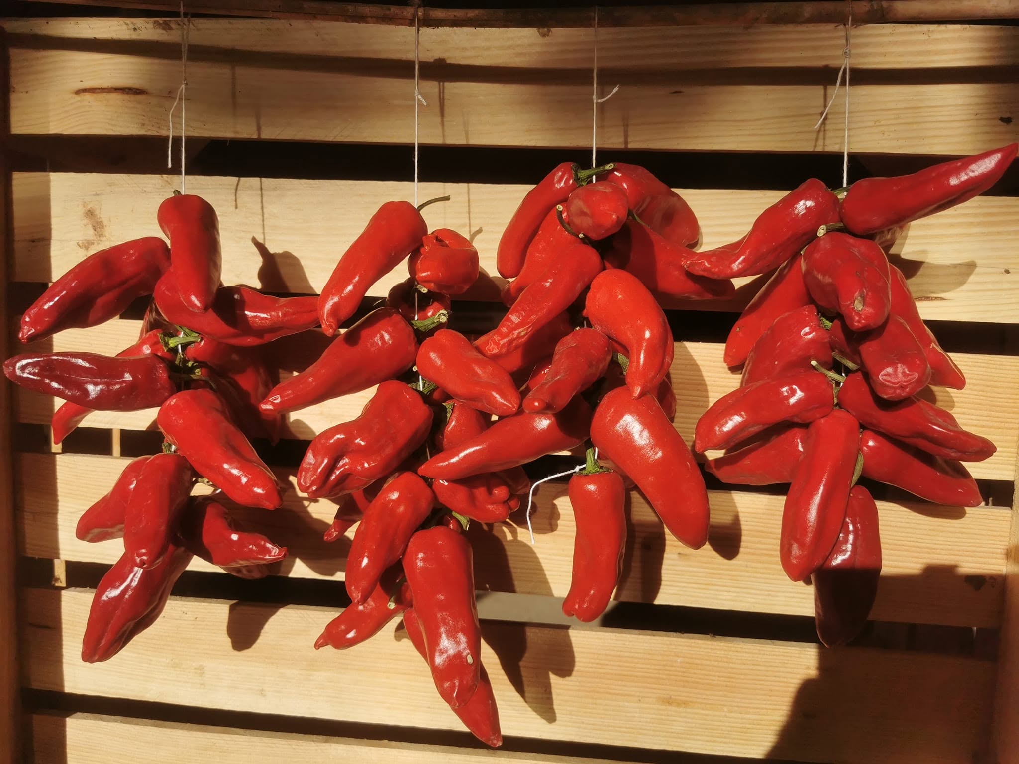 Piments rouge